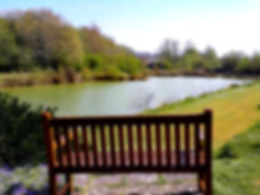 A bench looking over the lake