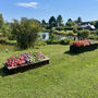 Flower troughs on the lawn